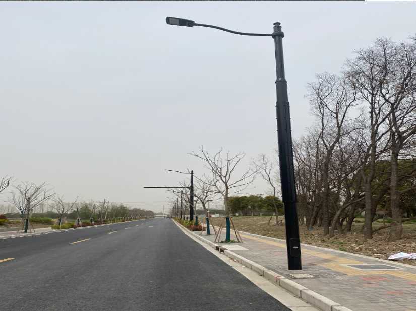 仪征市上海综合杆 太阳能路灯工程